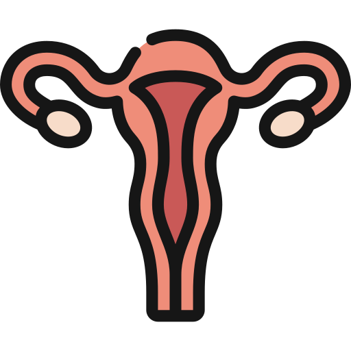 Гінекологія